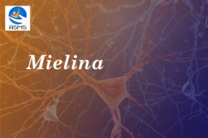 Mielina