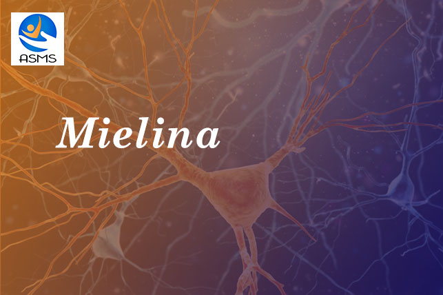 Mielina
